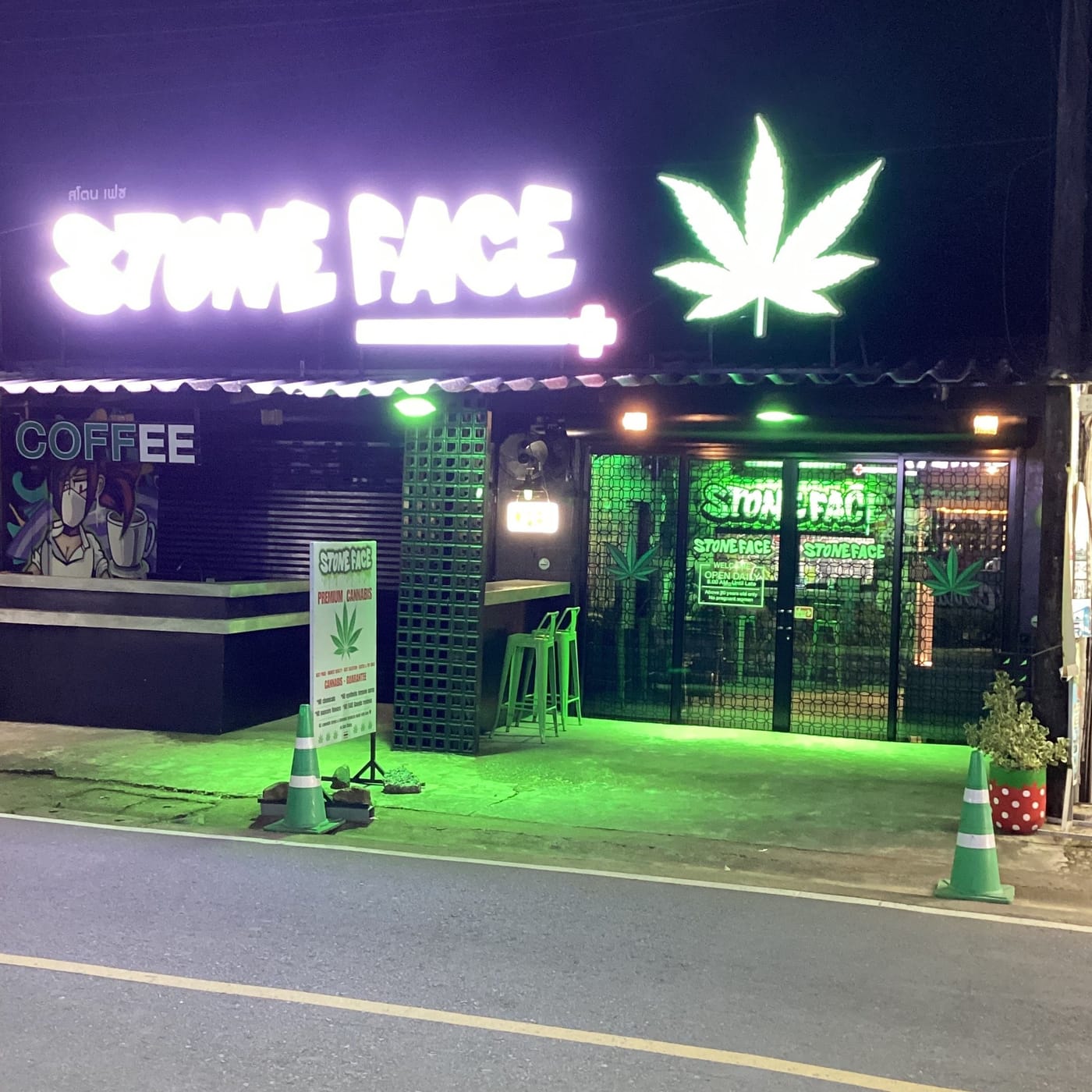 The shopfront at night, sign and neon leaf glowing, the forecourt washed in green light